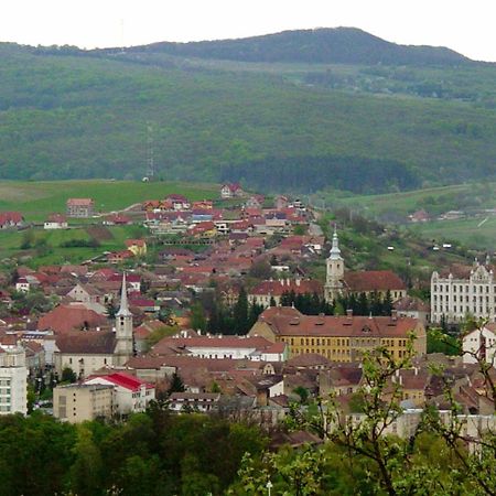 Pava Pension & Spa Одорхею-Секуйеск Экстерьер фото